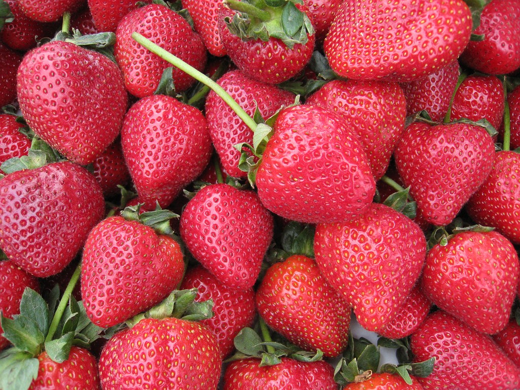 2011 Bay 2 Breakers Saturday 0255.JPG - I was able to participate in the 2011, 100th anniversary of the San Francisco Bay to Breakers 12K race. A great weekend for sight seeing and racing.